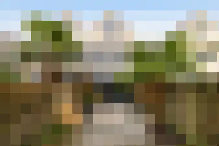 Berkenlaan 12 Harmelen thumbnail 29