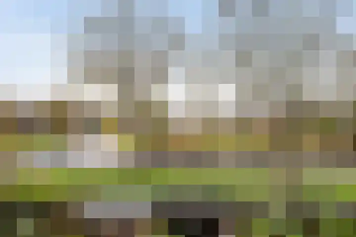 Berkenlaan 12 Harmelen thumbnail 32