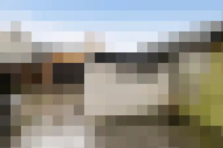 Berkenlaan 12 Harmelen thumbnail 35