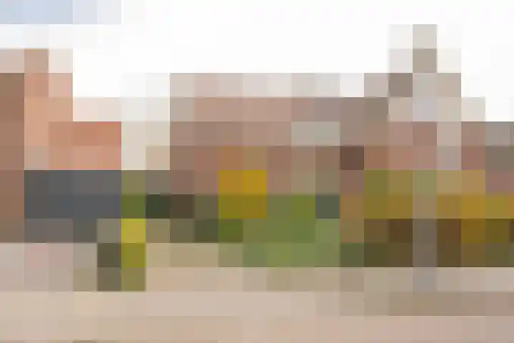 Berkenlaan 12 Nijkerk
