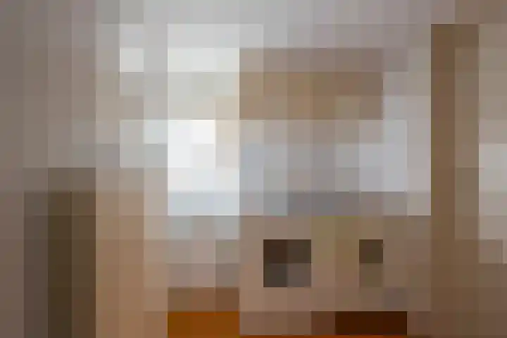 Berkenlaan 12 Nijkerk thumbnail 13