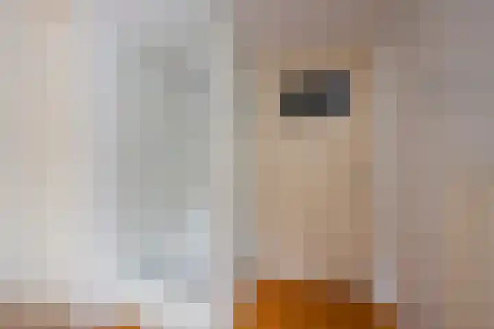 Berkenlaan 12 Nijkerk thumbnail 14