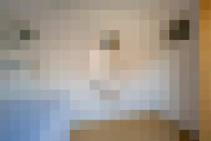 Berkenlaan 12 Nijkerk thumbnail 22