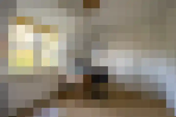 Berkenlaan 12 Nijkerk thumbnail 24