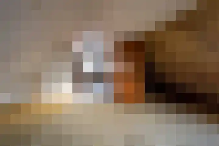 Berkenlaan 12 Nijkerk thumbnail 29