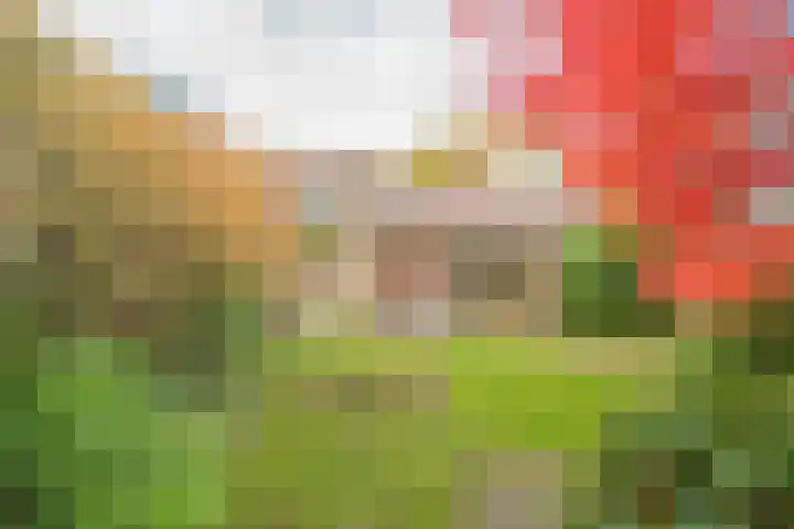 Berkenlaan 12 Nijkerk thumbnail 30