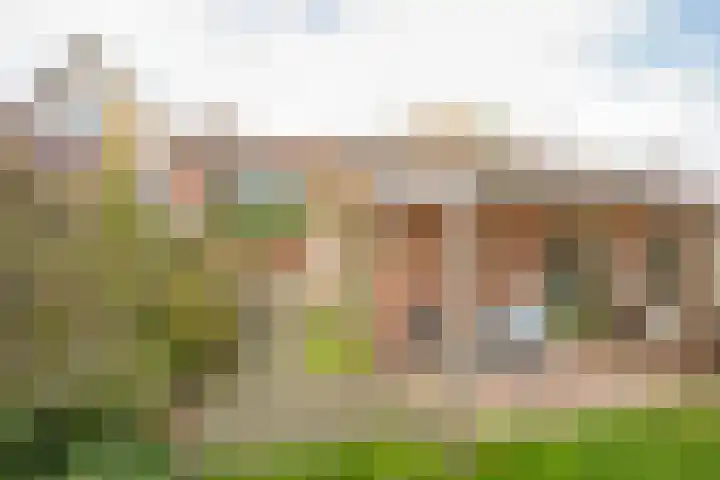 Berkenlaan 12 Nijkerk thumbnail 31