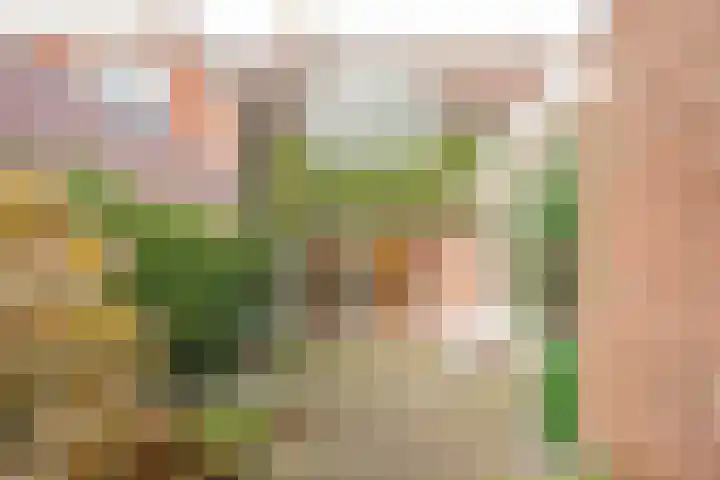 Berkenlaan 12 Nijkerk thumbnail 32