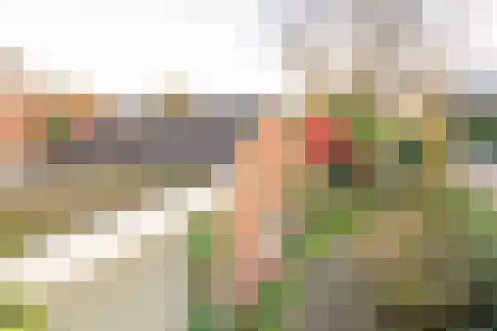 Berkenlaan 12 Nijkerk thumbnail 33