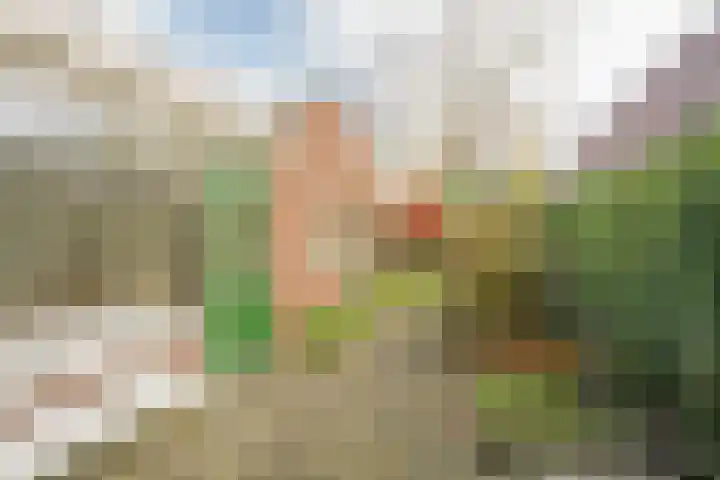 Berkenlaan 12 Nijkerk thumbnail 34