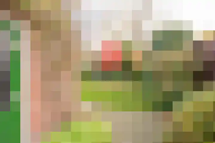 Berkenlaan 12 Nijkerk thumbnail 35
