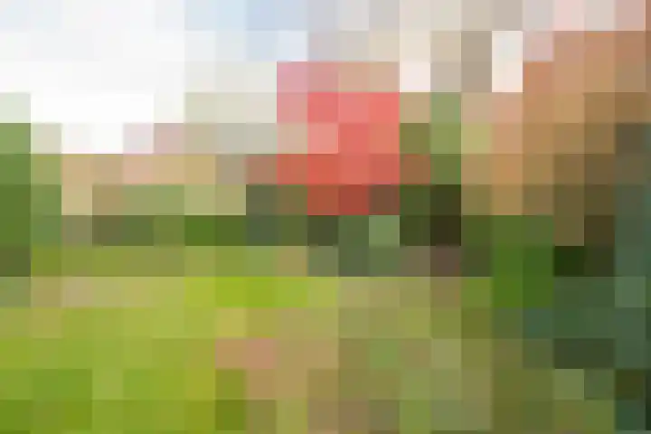 Berkenlaan 12 Nijkerk thumbnail 36