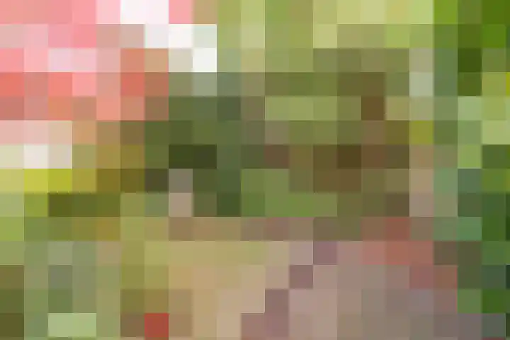 Berkenlaan 12 Nijkerk thumbnail 37