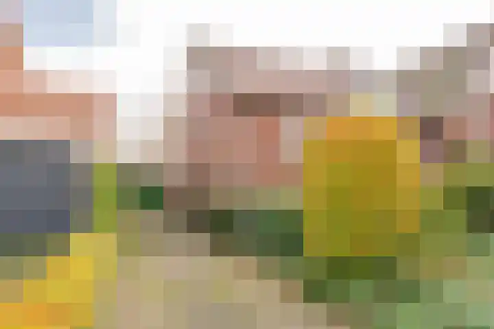 Berkenlaan 12 Nijkerk thumbnail 38
