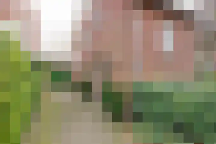 Berkenlaan 12 Nijkerk thumbnail 39