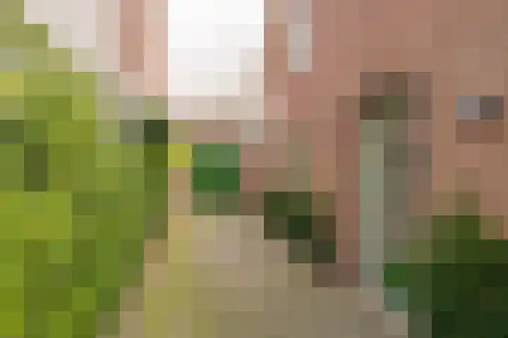 Berkenlaan 12 Nijkerk thumbnail 40