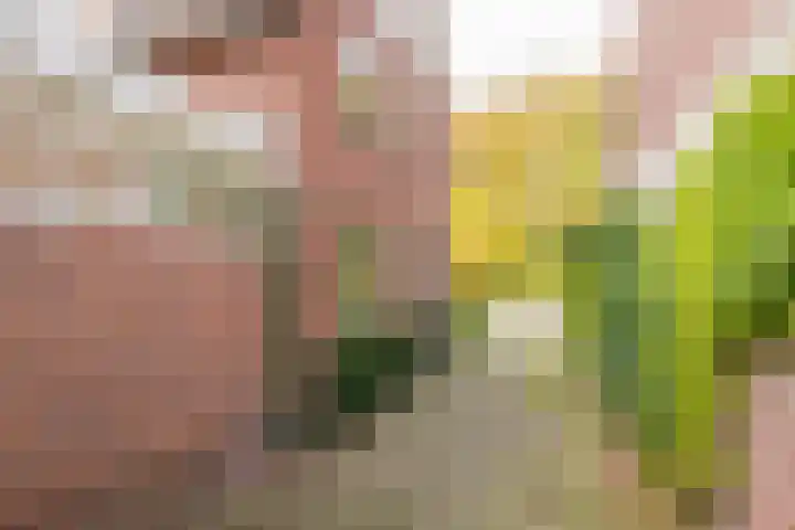 Berkenlaan 12 Nijkerk thumbnail 41