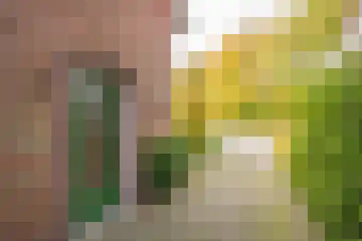 Berkenlaan 12 Nijkerk thumbnail 42