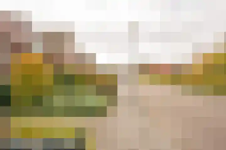 Berkenlaan 12 Nijkerk thumbnail 43
