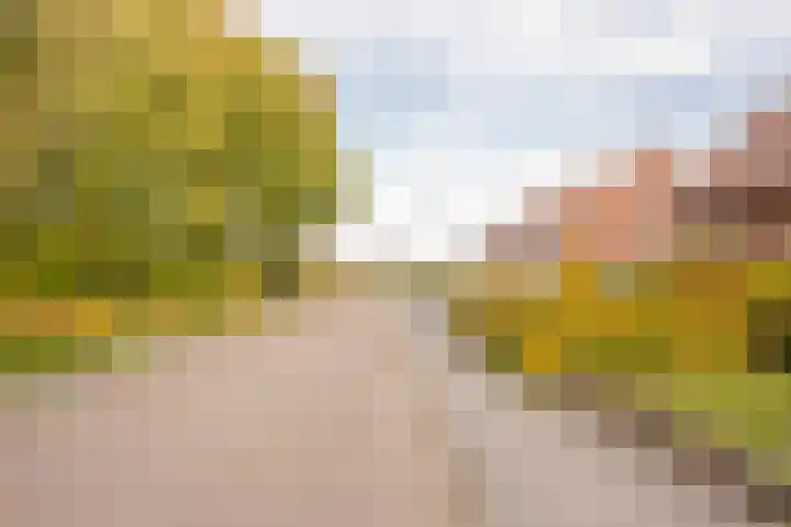 Berkenlaan 12 Nijkerk thumbnail 44