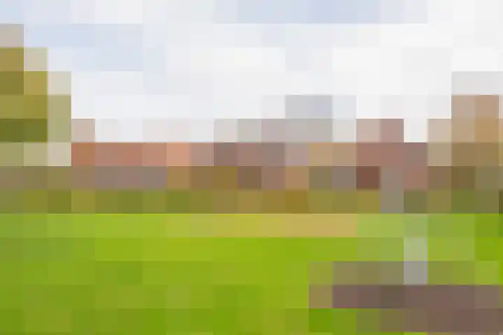 Berkenlaan 12 Nijkerk thumbnail 45