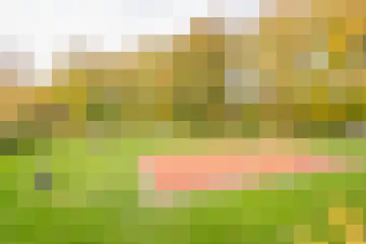 Berkenlaan 12 Nijkerk thumbnail 46