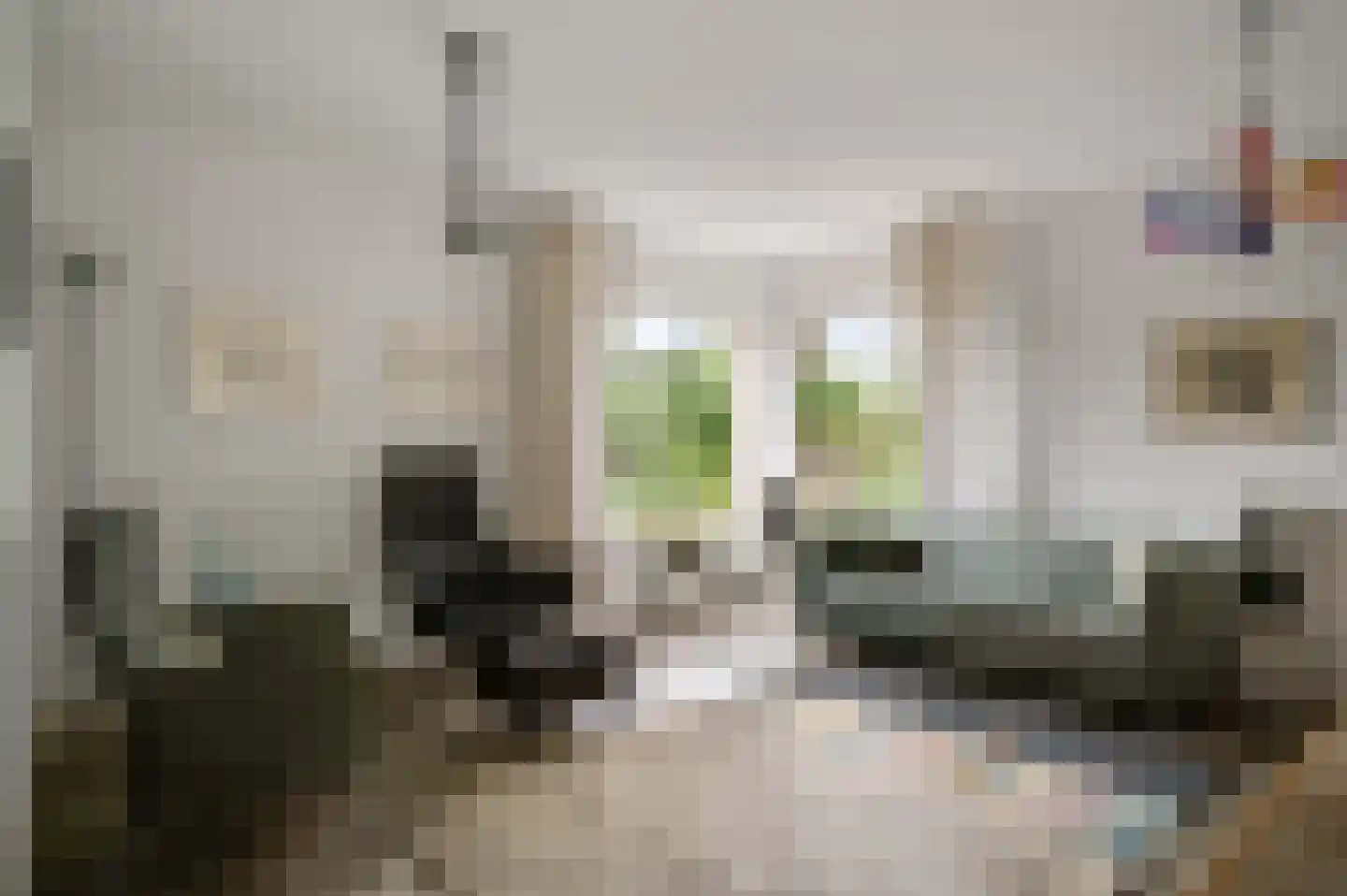 Berkenlaan 12 Velden thumbnail 12