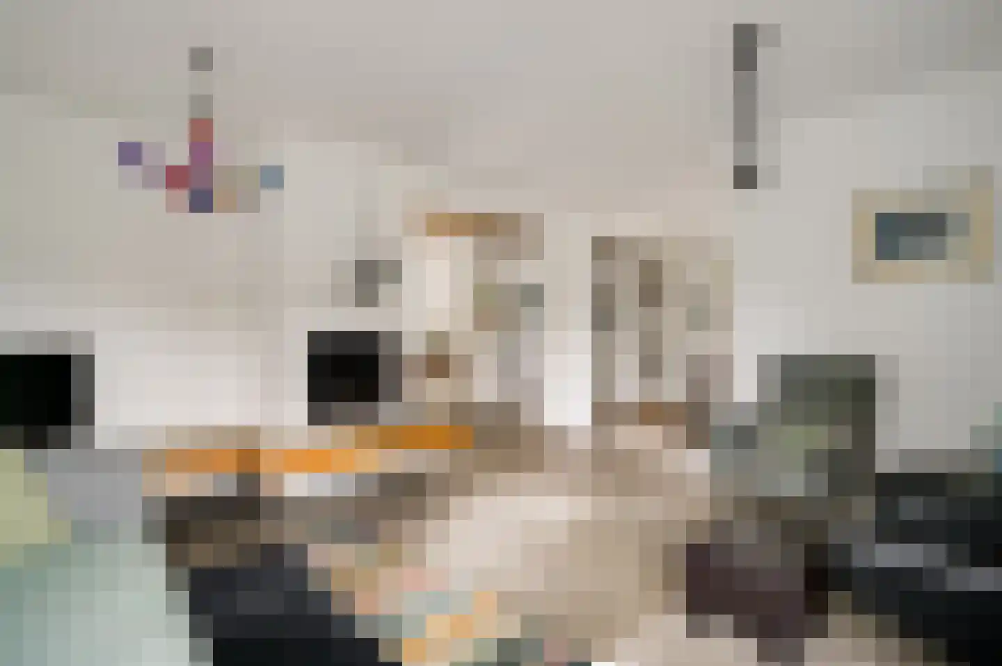 Berkenlaan 12 Velden thumbnail 13