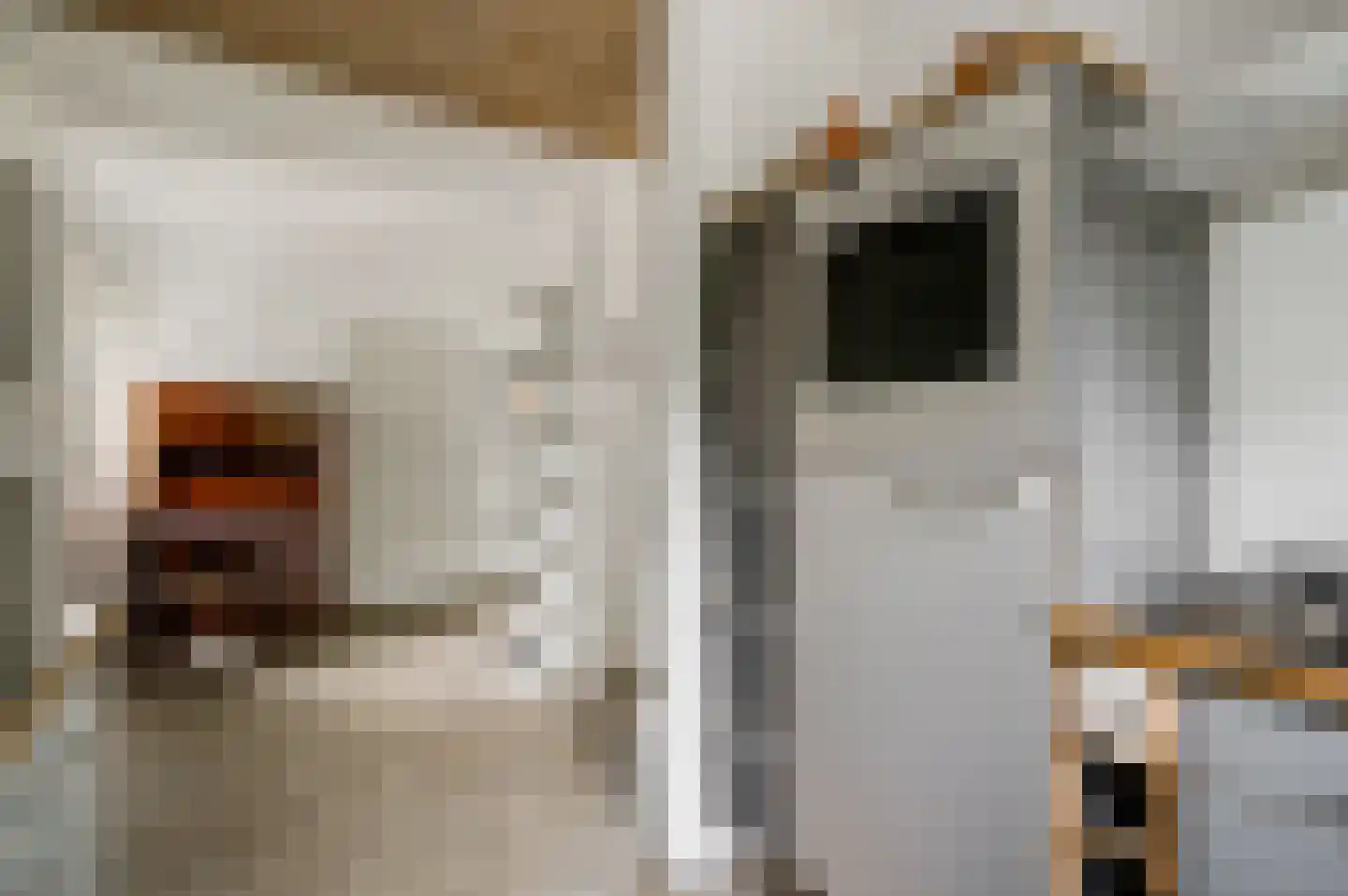 Berkenlaan 12 Velden thumbnail 22