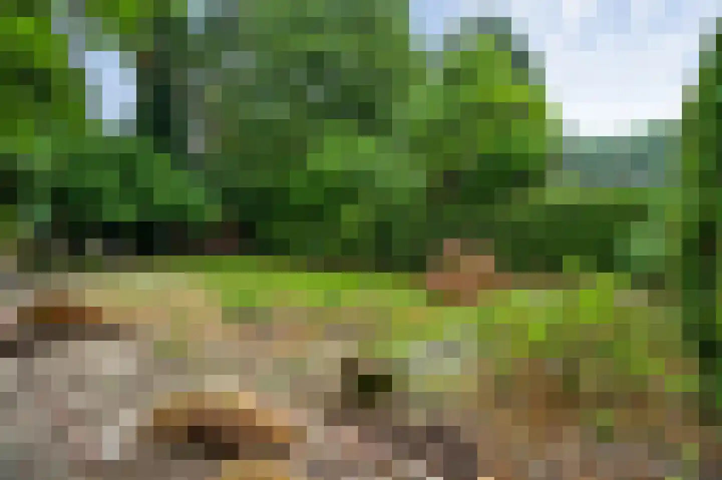Berkenlaan 12 Velden thumbnail 30