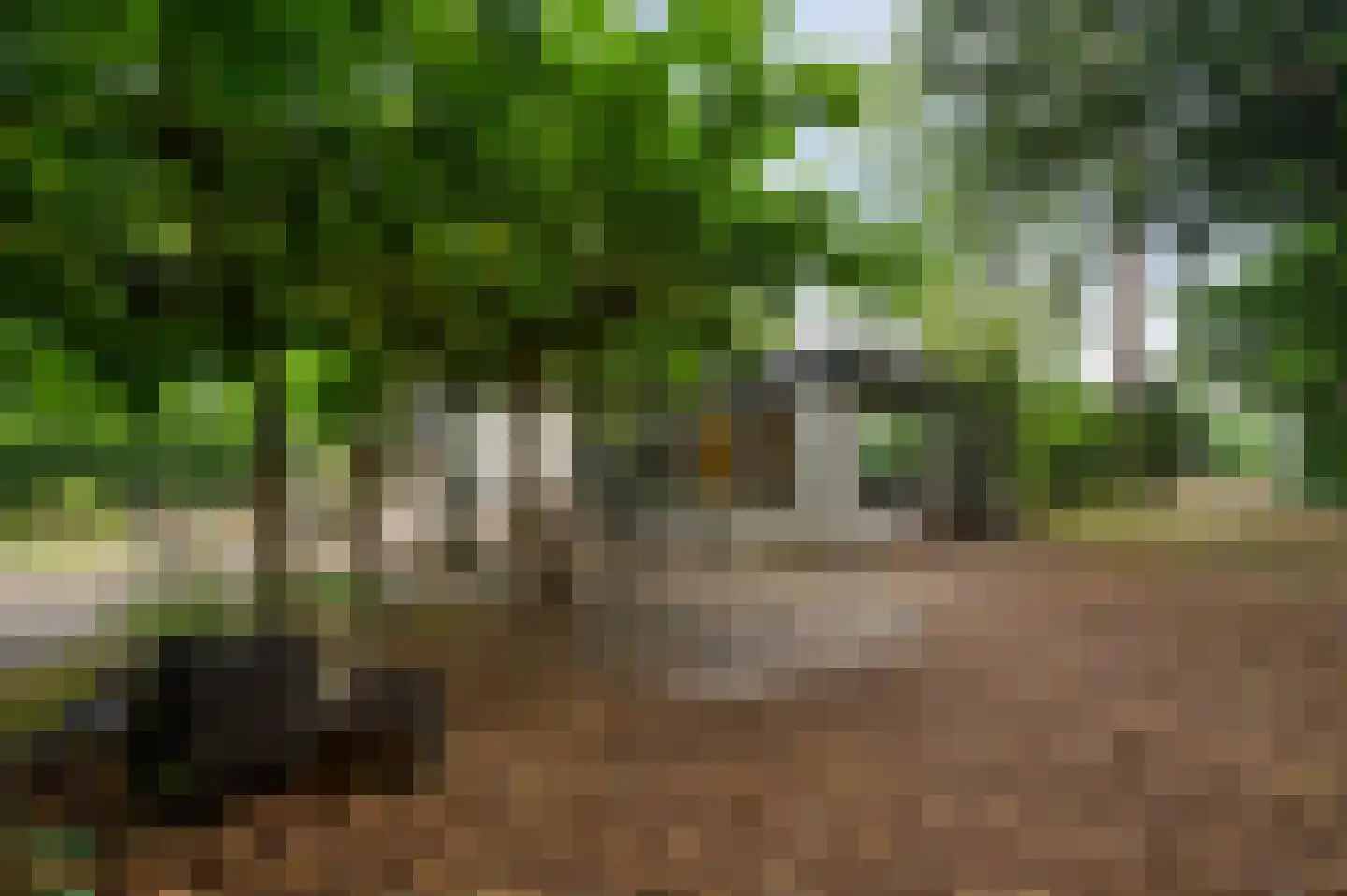 Berkenlaan 12 Velden thumbnail 33