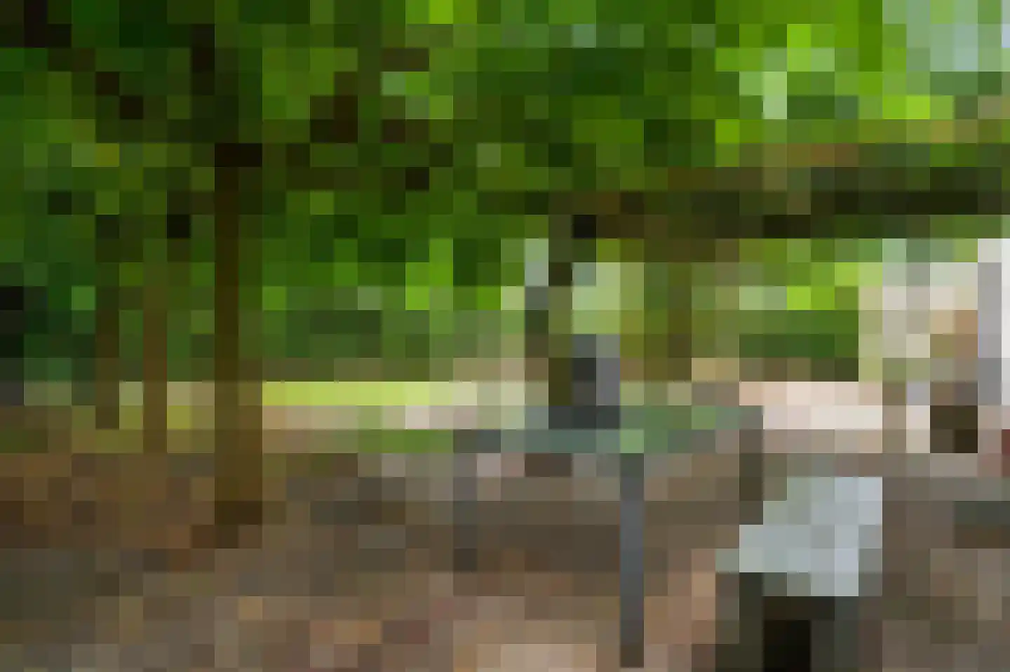Berkenlaan 12 Velden thumbnail 34