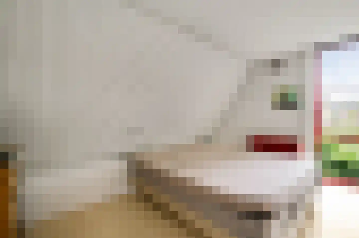 Berkenlaan 12 Velden thumbnail 39