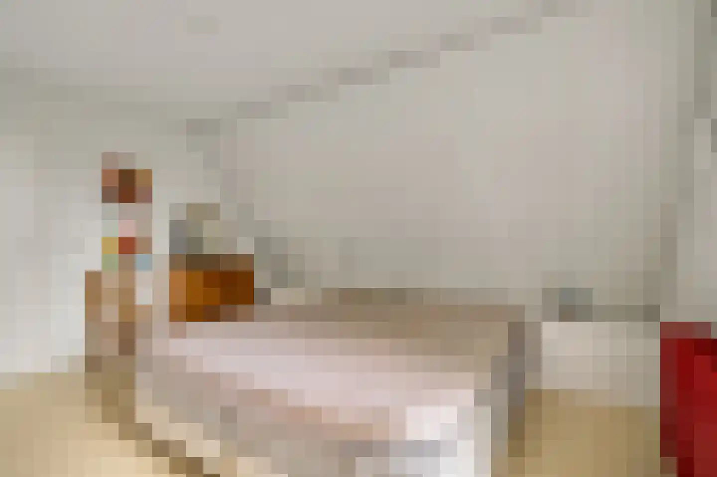 Berkenlaan 12 Velden thumbnail 40