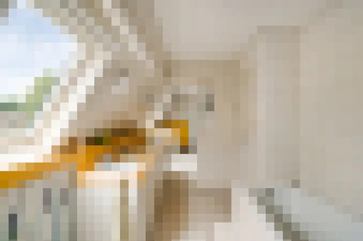 Berkenlaan 12 Velden thumbnail 45