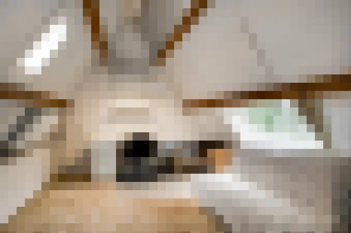Berkenlaan 12 Velden thumbnail 52