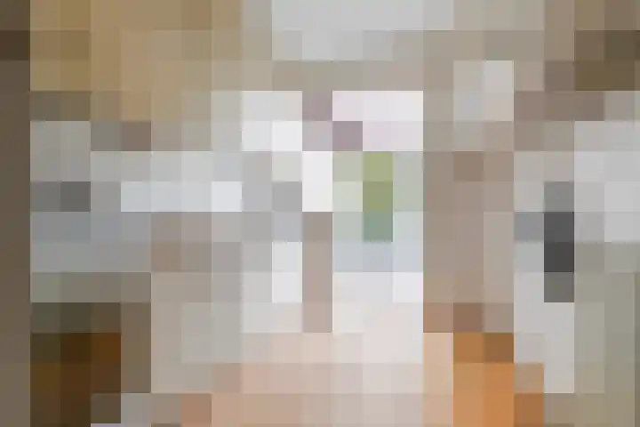 Berkenlaan 129 Sint-Michielsgestel thumbnail 15