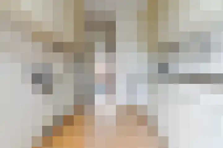 Berkenlaan 129 Sint-Michielsgestel thumbnail 16