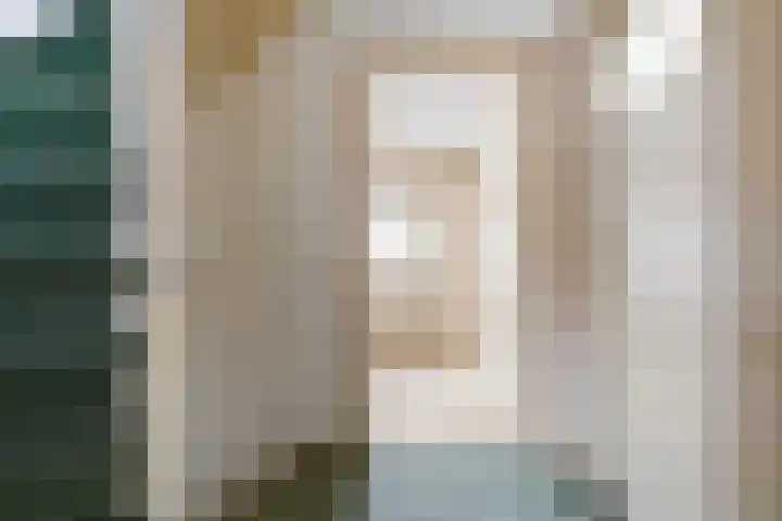 Berkenlaan 129 Sint-Michielsgestel thumbnail 29