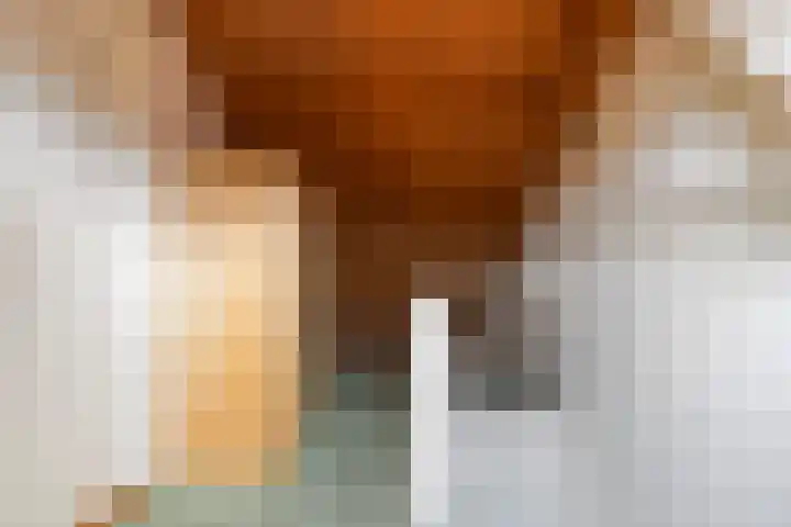 Berkenlaan 129 Sint-Michielsgestel thumbnail 30