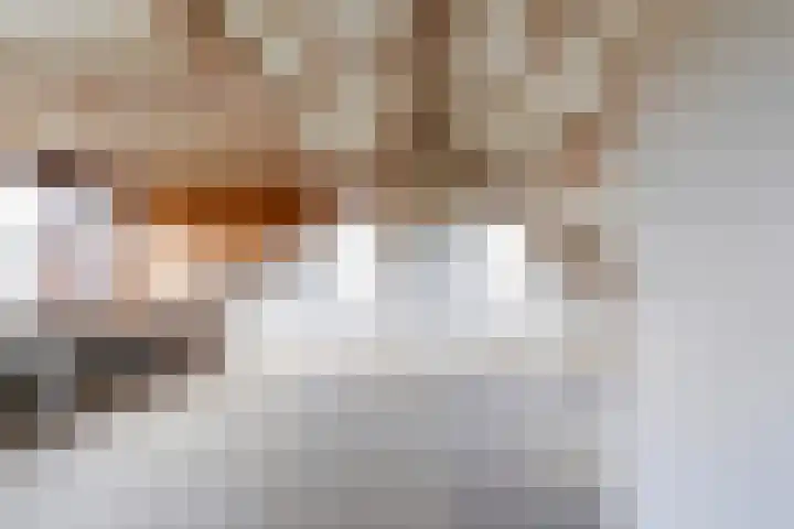 Berkenlaan 129 Sint-Michielsgestel thumbnail 32