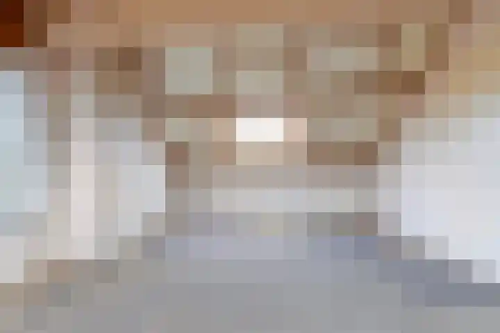 Berkenlaan 129 Sint-Michielsgestel thumbnail 34