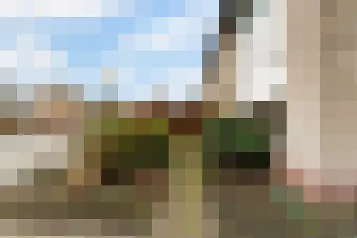 Berkenlaan 129 Sint-Michielsgestel thumbnail 4