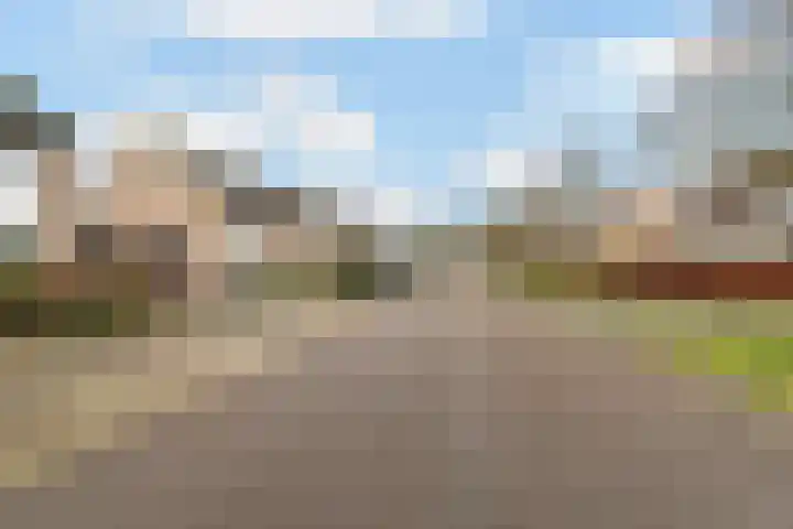 Berkenlaan 129 Sint-Michielsgestel thumbnail 43