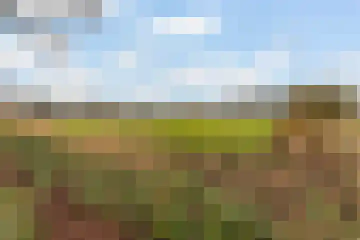Berkenlaan 129 Sint-Michielsgestel thumbnail 44