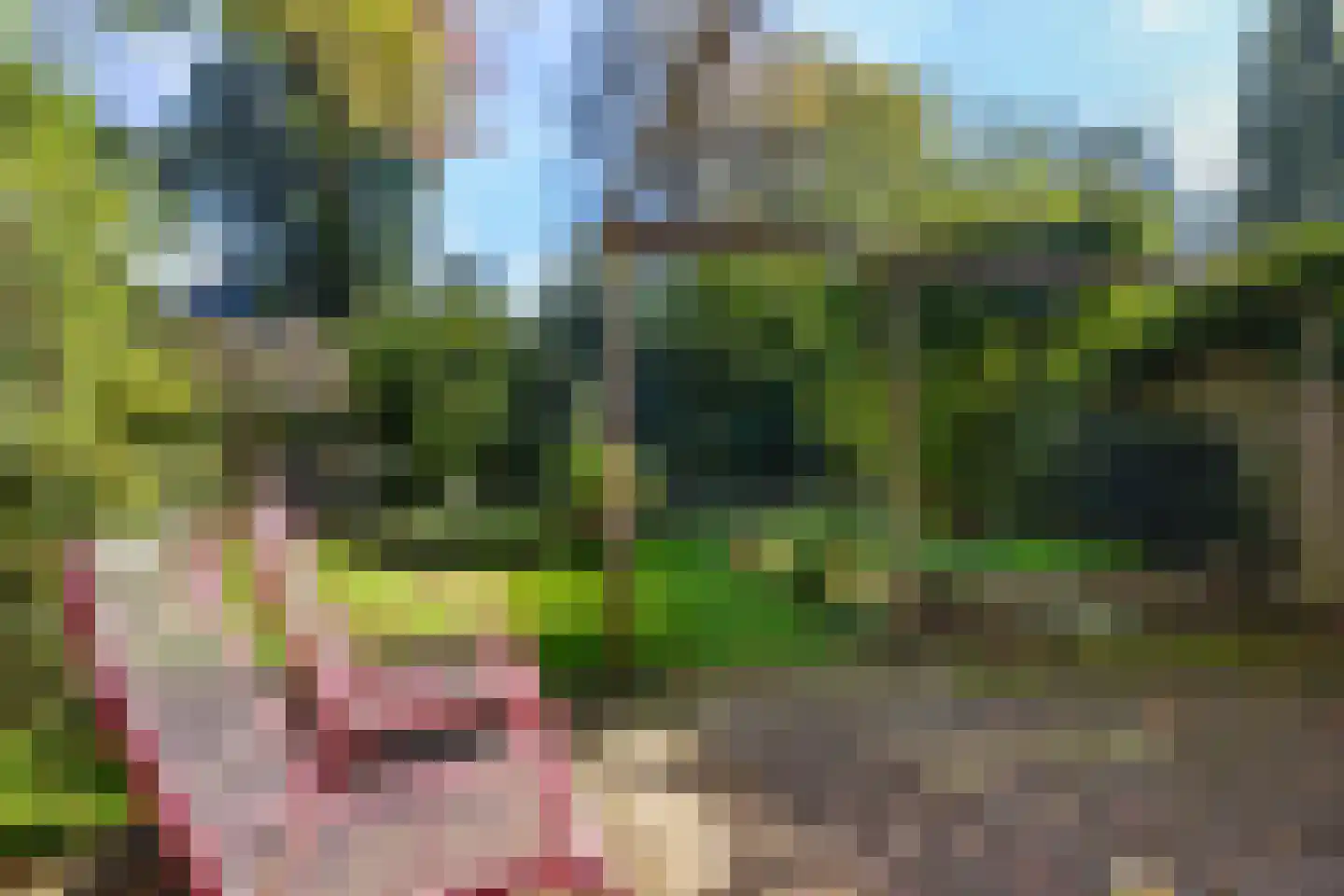 Berkenlaan 13 Bilthoven thumbnail 18