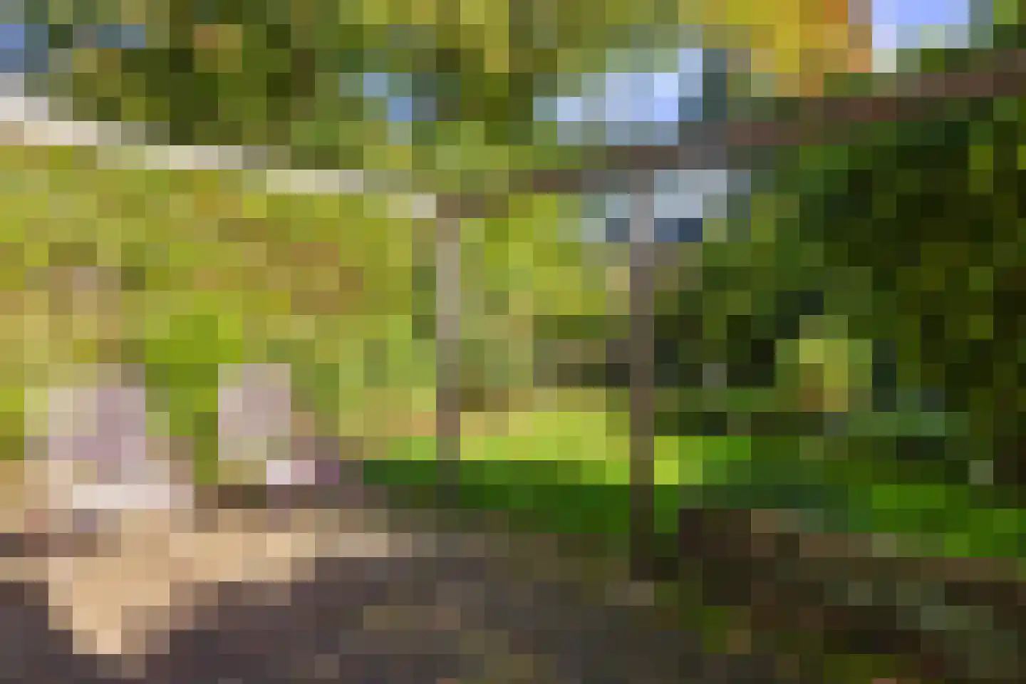 Berkenlaan 13 Bilthoven thumbnail 20