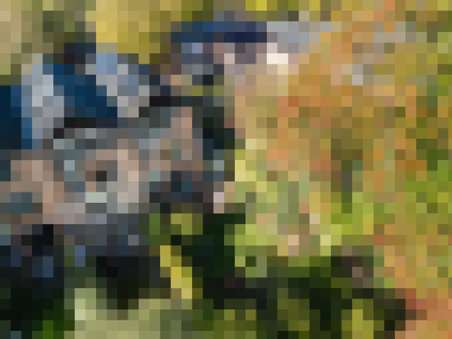 Berkenlaan 13 Bilthoven thumbnail 24