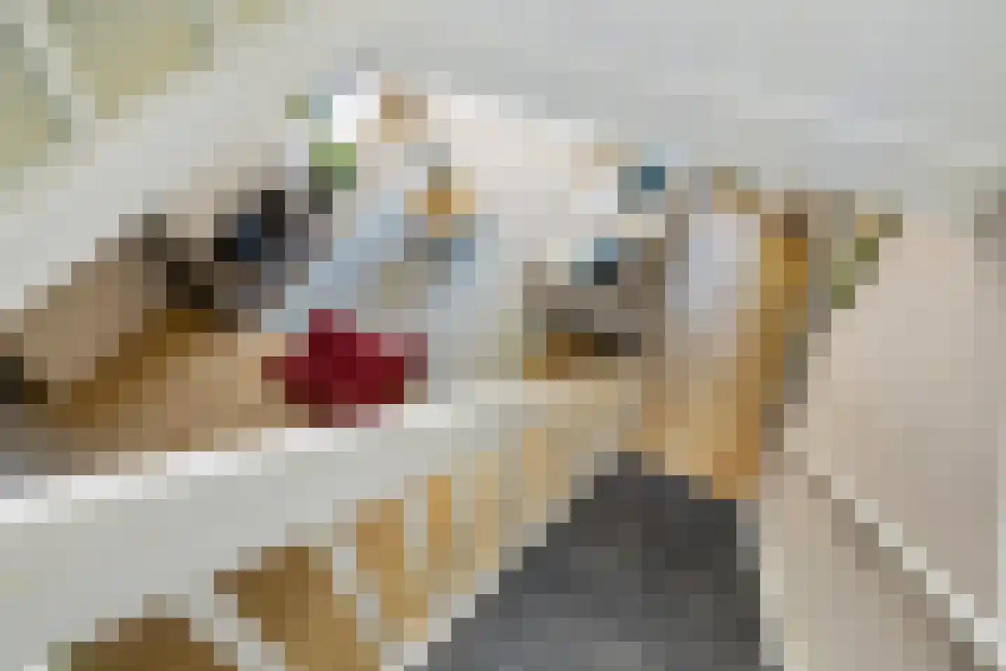 Berkenlaan 13 Bilthoven thumbnail 25