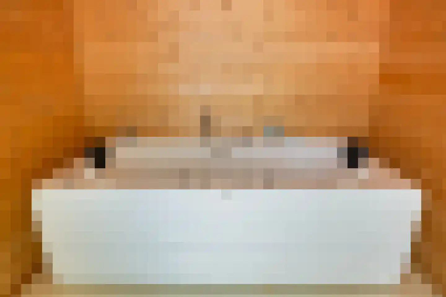 Berkenlaan 13 Bilthoven thumbnail 36
